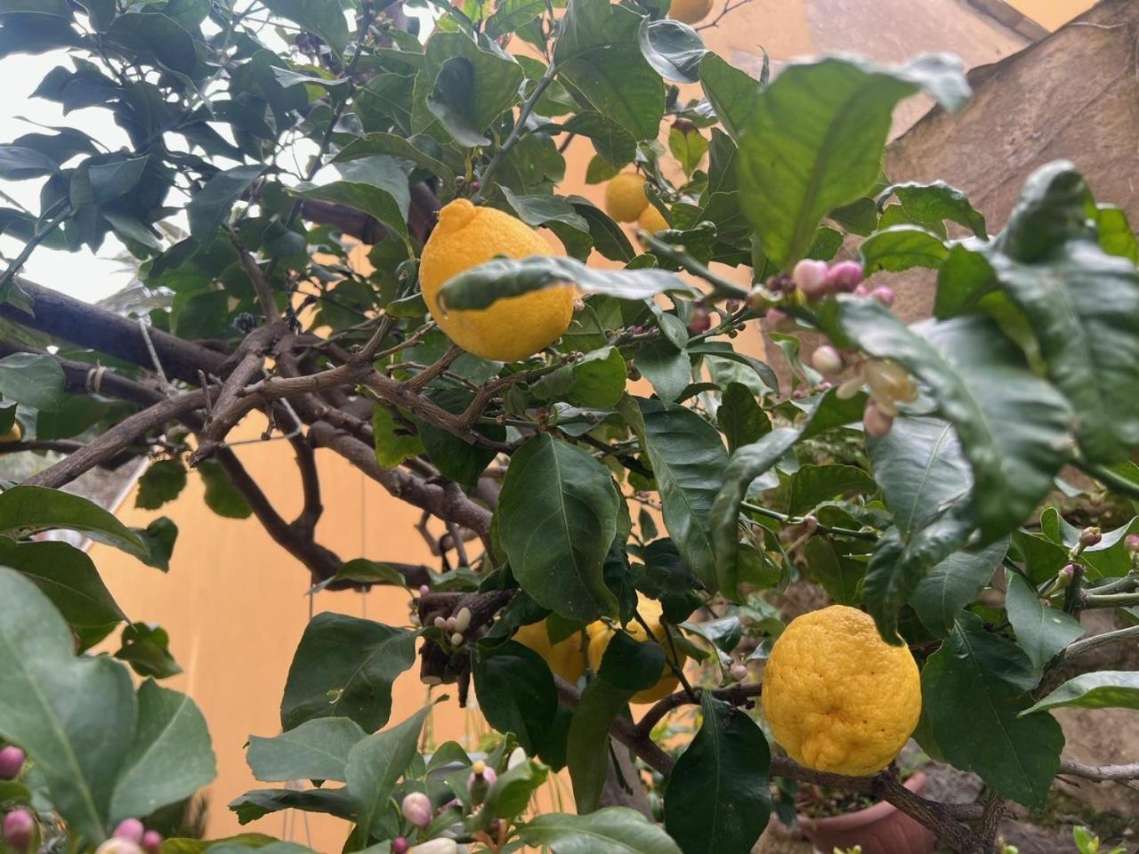 Appartamento Vicino Al Mare Moneglia Dış mekan fotoğraf